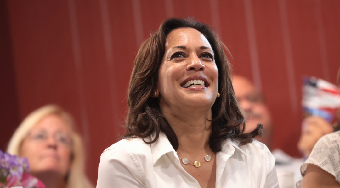 Kamala Harris was grinning from ear to ear after this Supreme Court election ruling