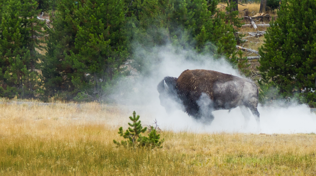 Kevin Costner broke Yellowstone’s fans hearts with this terrible news