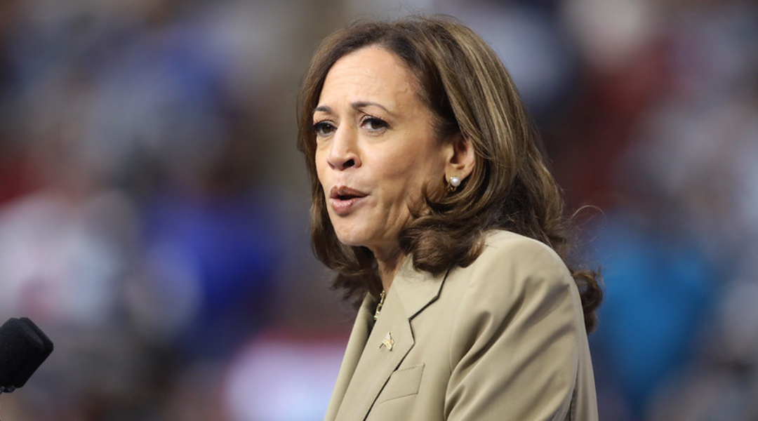 Kamala Harris was speechless when a top Democrat went on this racist rant over her loss