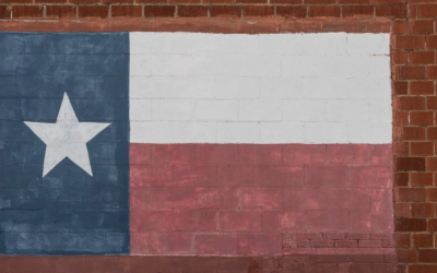 TEXAS SECEDES FROM THE UNION! (Today in History, February 1, 1861)