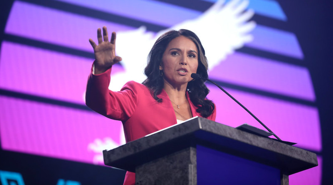 Tulsi Gabbard called out the Deep State for these unspeakable crimes against Trump