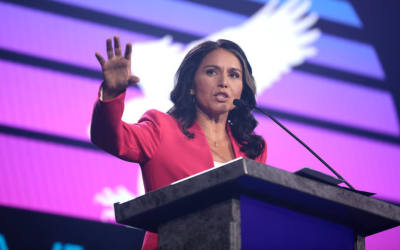 Tulsi Gabbard called out the Deep State for these unspeakable crimes against Trump