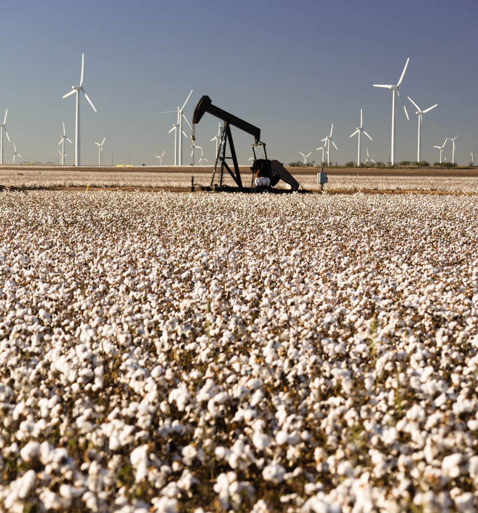 Oil,Production,And,Wind,Power,Generates,In,A,Mature,Cotton