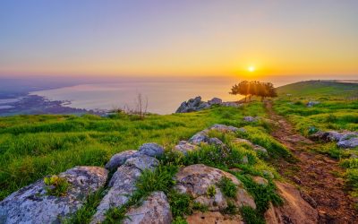 Metal detectorist uncovered one treasure that revealed stunning truth about ancient Christian city