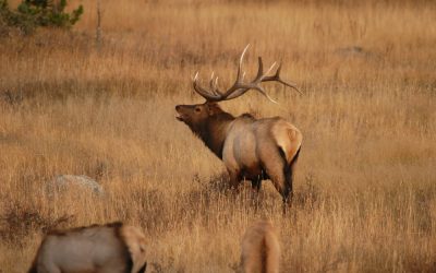 Two Young Hunters Died in Colorado Lightning Strike So Fast They Never Knew What Hit Them