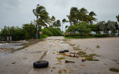ESPN Reporters Exposed Florida Prosecutors in One Shocking Discovery That Could Free an Accused Killer