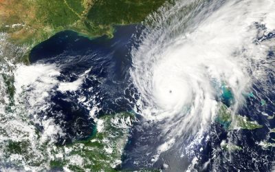 Hurricane Ian Unearthed One Mysterious Wooden Canoe That Has Experts Completely Stumped