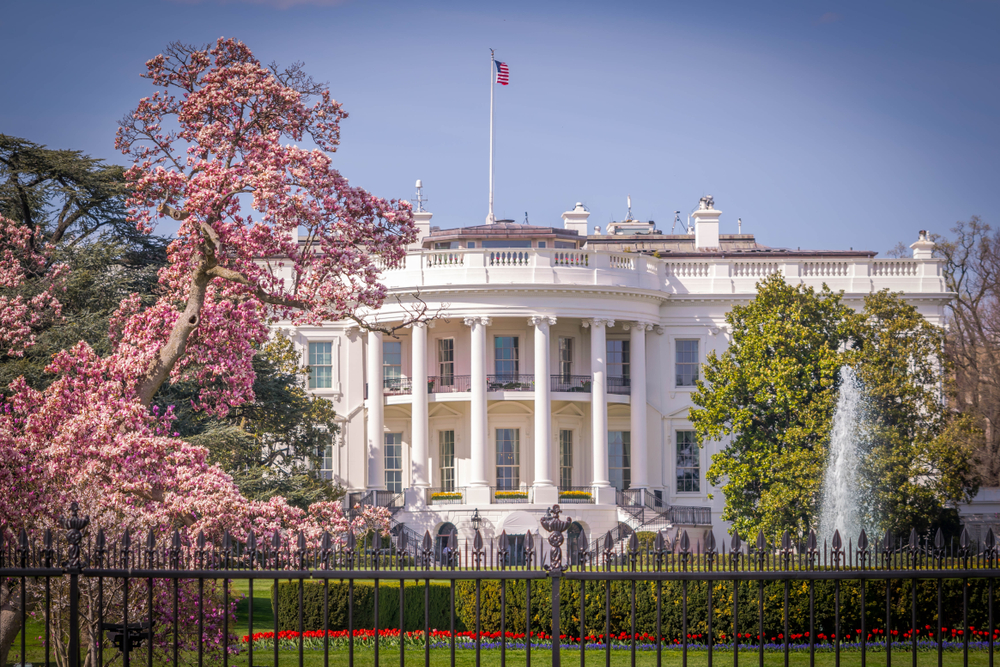 Chuck Schumer just walked into Donald Trump’s trap and his own party is out for blood