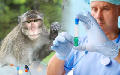 Mississippi Mom Instantly Shut Down Critics After She Made This Split-Second Decision to Stop Dangerous Research Monkey