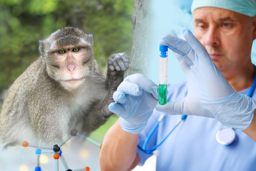 Mississippi Mom Instantly Shut Down Critics After She Made This Split-Second Decision to Stop Dangerous Research Monkey