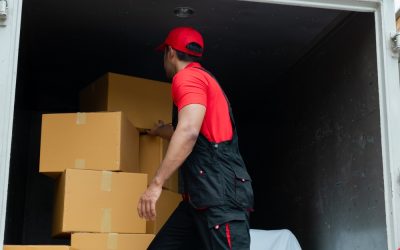 NYC Mayor-Elect’s Radical Agenda Just Triggered the Largest Population Threat in American History