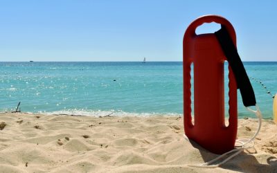 Pamela Anderson just exposed the truth about Liam Neeson that has Hollywood stunned