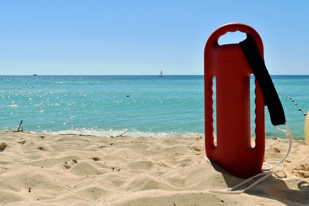 Pamela Anderson just exposed the truth about Liam Neeson that has Hollywood stunned