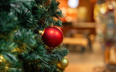 David Spade exposed the ugly truth about this shocking Christmas tradition