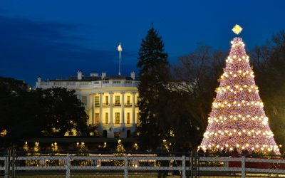 Donald Trump Jr Just Made One Big Announcement That Left Gavin Newsom’s Ex Wife Fuming