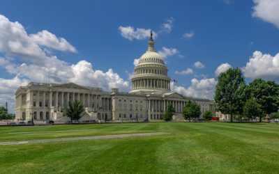 Jasmine Crockett just dug herself deeper into a hole Lee Zeldin is happy to bury her in