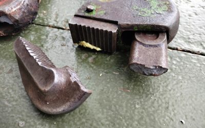 This Donald Trump Moment With A Fighter Recovering From A Brutal Knockout During The College Championship Spoke Volumes