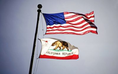 Steve Hilton Just Pulled In One Haul in California That Has Gavin Newsom Seeing Red