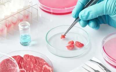 Federal Judge Just Handed Fake Meat Companies A Win They Didn’t Earn