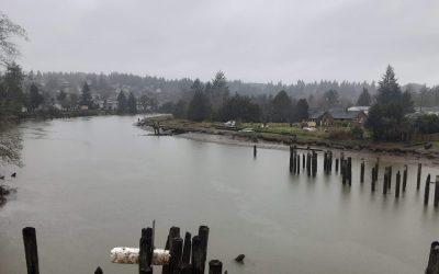 Cobain File Auditor Declared Rock Singer’s Death a Homicide But Officials Have Been Silent Ever Since