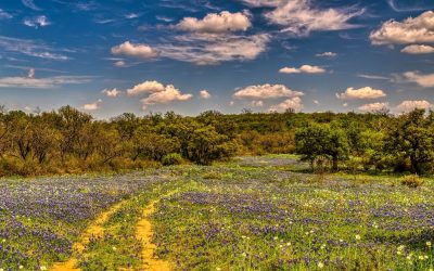 James Van Der Beek Finally Achieved This One Dream Just A Month Before Cancer Killed Him at 48