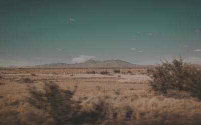 New Mexican Epstein Ranch Just Got a Lot More Sinister and Investigators Are Finally Asking Why