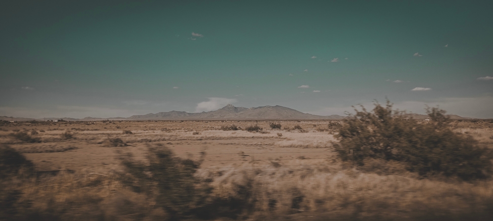 A,Desert,Scene,From,A,Car,Window.