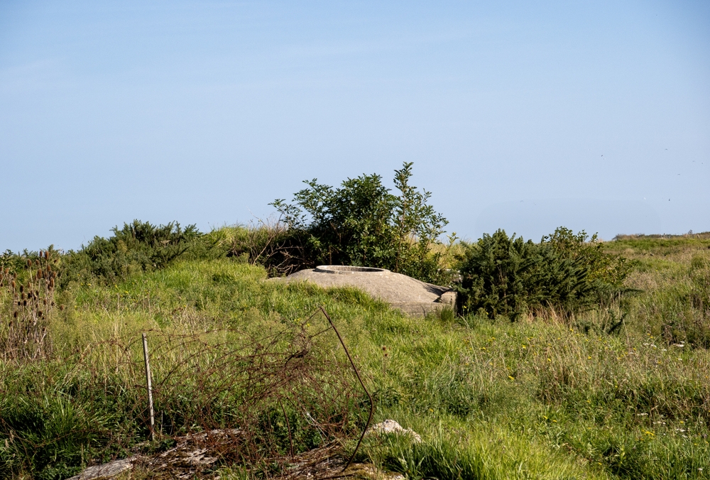 A French Man Just Caused One Nightmare Scenario That Had Bomb Squad Racing to Hospital