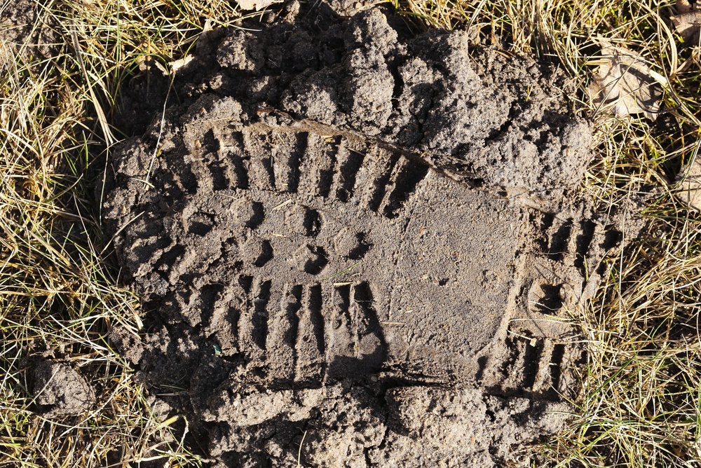 Megyn Kelly Just Stomped the Senator Who Started a War and Spent the Weekend at Disney World