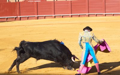 The Greatest Bullfighter Alive Came Out of Retirement and a Bull Named Clandestino Ended It With Brutal Goring