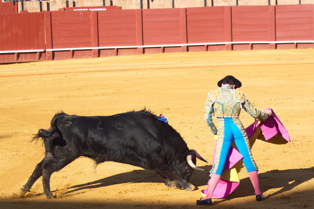 The Greatest Bullfighter Alive Came Out of Retirement and a Bull Named Clandestino Ended It With Brutal Goring