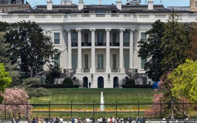 Trump Stood His Ground Against the Pope on Controversial Jesus Post and Delivered His Take