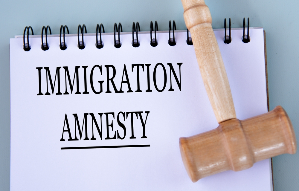 Laura Ingraham Asked Mike Lawler One Question About His Amnesty Bill and He Had No Answer