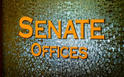 Schumer Showed Up to Bash Trump With a Giant Bandage on His Head and Nobody Will Tell You Why