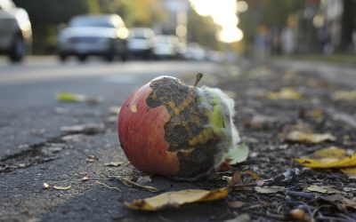 Mamdani Spent Billions He Didn’t Have Then Asked His Own Party to Cover It