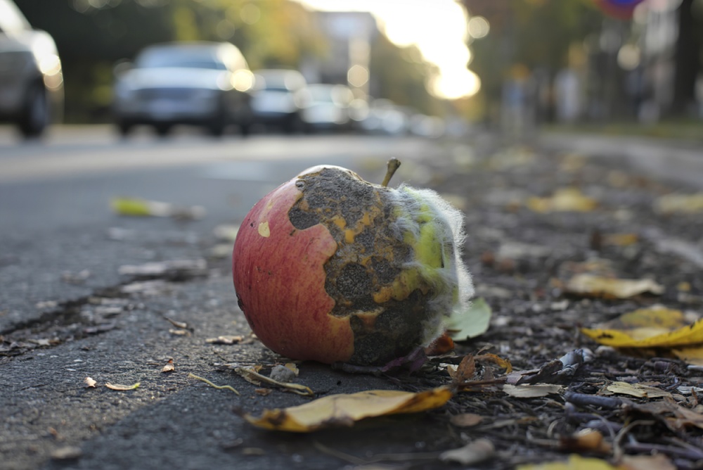 Mamdani Spent Billions He Didn’t Have Then Asked His Own Party to Cover It