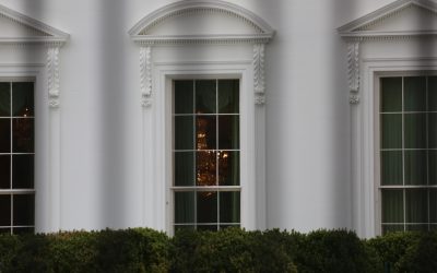 Trump Stopped His Cabinet Meeting Cold With Three Words About Ilhan Omar and the Country She Was Born In