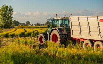 French Farmers Are Blocking Roads Again and Macron Is Shaking Over What Comes Next