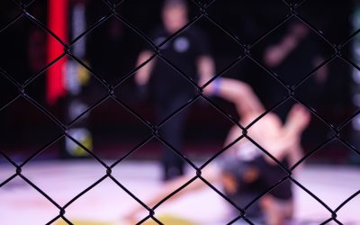 Sophie Cunningham Sent WNBA’s Woke Fanbase into a Meltdown with One UFC Cameo