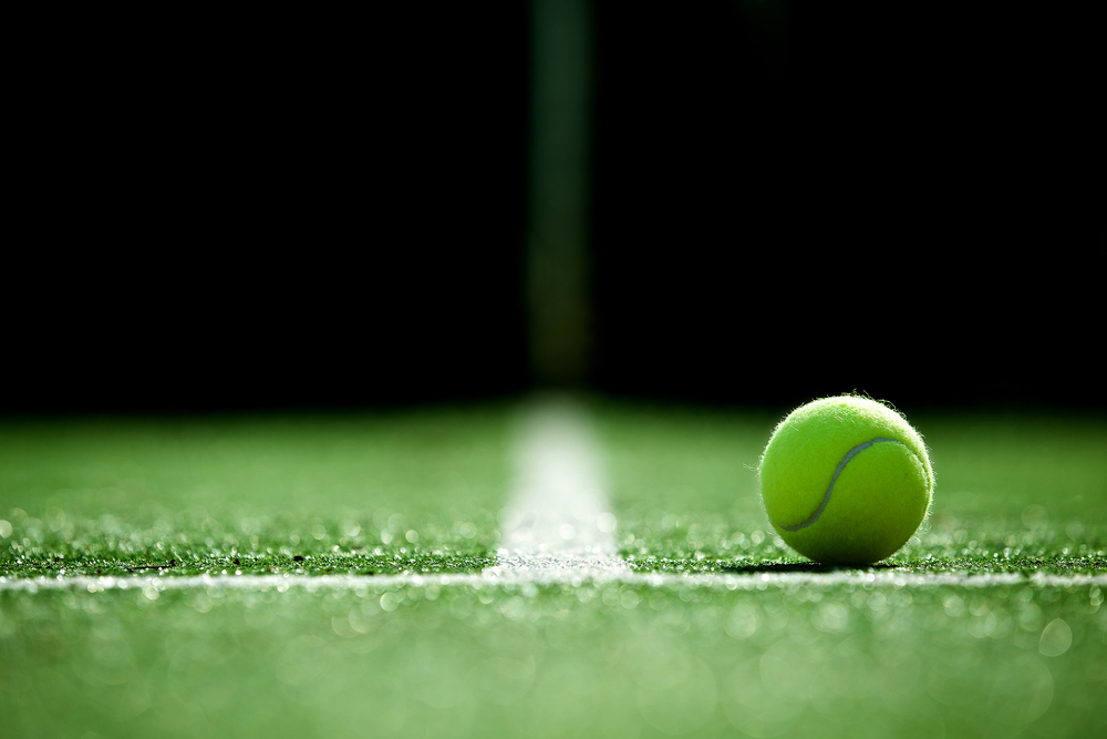 Tennis Legend Novak Djokovic Just Confronted a Wimbledon Karen Over the Roof Closure Call That Left Fans Furious