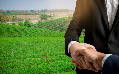 The Soros Family Secretly Bought Huge Acreage in America Before Infuriating Locals With Who They Want to Fence Out