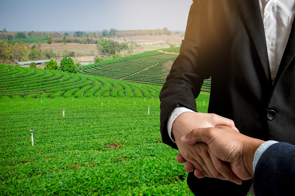The Soros Family Secretly Bought Huge Acreage in America Before Infuriating Locals With Who They Want to Fence Out