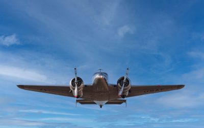 An 89 Year Old New Zealand Survey Photo Just Blew The Amelia Earhart Mystery Open