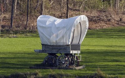 Senate Held a Covered Wagon Parade for a Bulldog While Voter ID Sits Dead