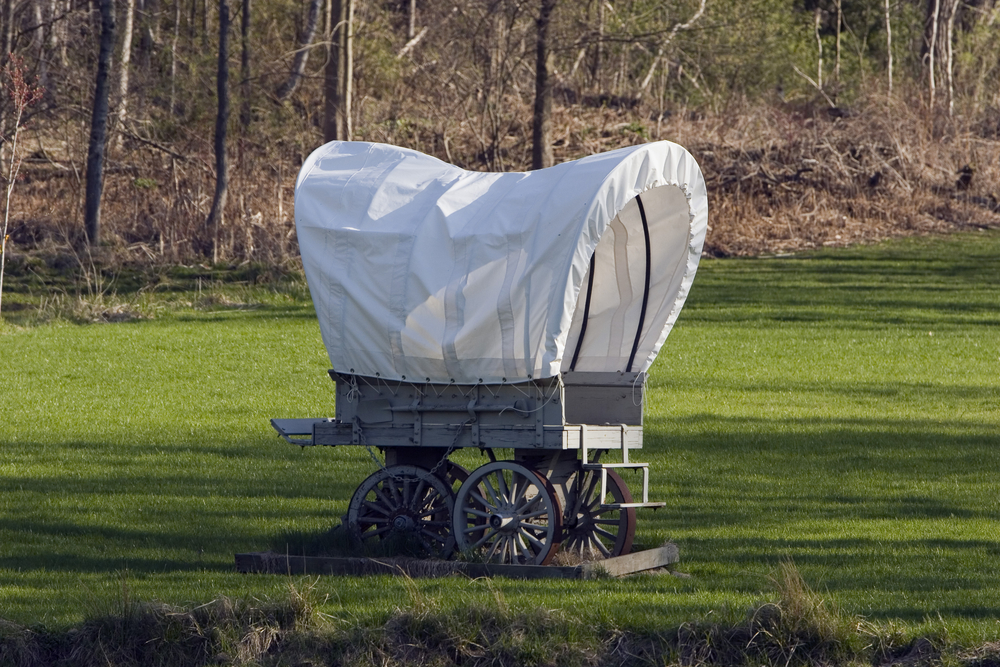 Senate Held a Covered Wagon Parade for a Bulldog While Voter ID Sits Dead
