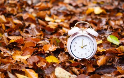 Trump Names the RINO Senate Holdout Blocking Permanent Daylight Saving Time