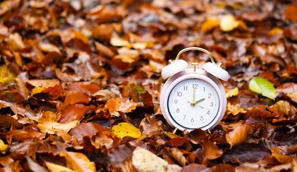 Trump Names the RINO Senate Holdout Blocking Permanent Daylight Saving ...