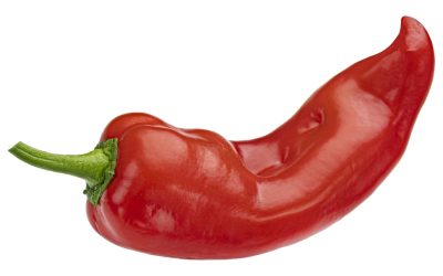 Chipotle Took Over Abbey Road Studios and Turned Vegetables Into a Full Band