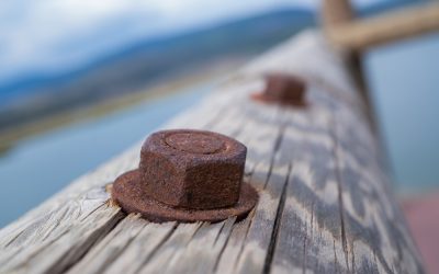 A Wisconsin Mom and Her Son Found a Century Old Shipwreck Hiding in Plain Sight