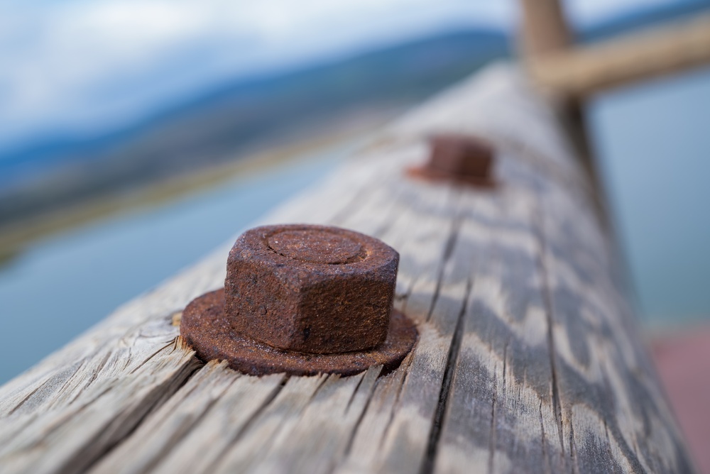 A Wisconsin Mom and Her Son Found a Century Old Shipwreck Hiding in Plain Sight